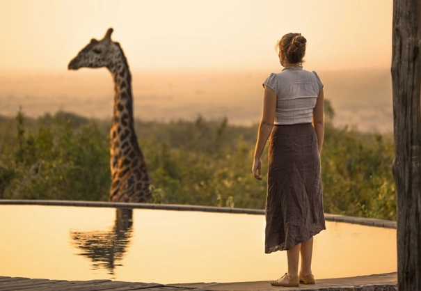 25-05-carousel-giraffe