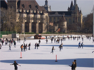 Ice skating at the park