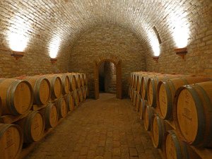 The cellars at the Konami winery