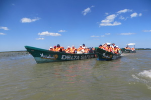 Delta Safari boat