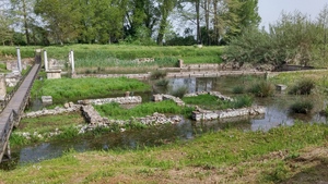 Excavations at Dion