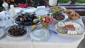 Picnic lunch provided bty the ladies from Ierissos, Halkidiki