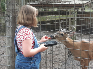 Granddaughter feeds deer at friend's ranch