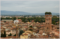 View across Lucca from the Torre del Ore