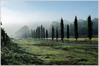 Misty Tuscan dawn