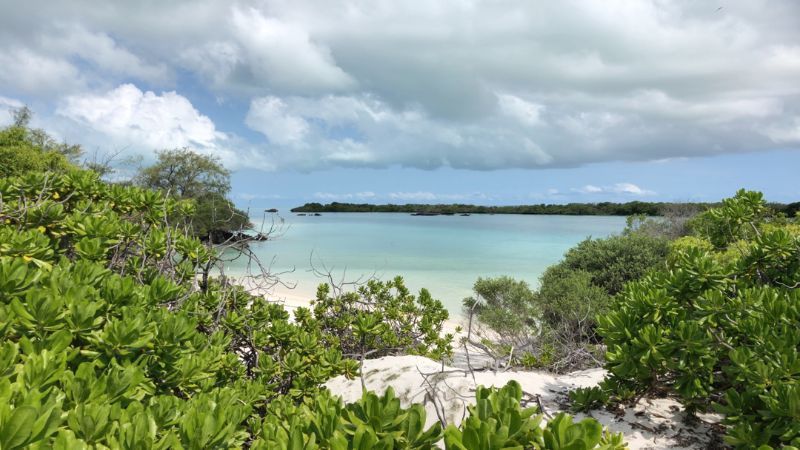 Aldabra beach