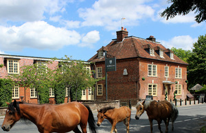 Bell Inn, near Lyndhurst in Hampshire