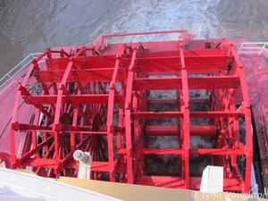 Big red paddle wheel