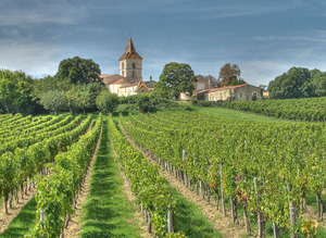 Vineyards in the Gironde department - by Michael Clarke CC BY-SA 2.0