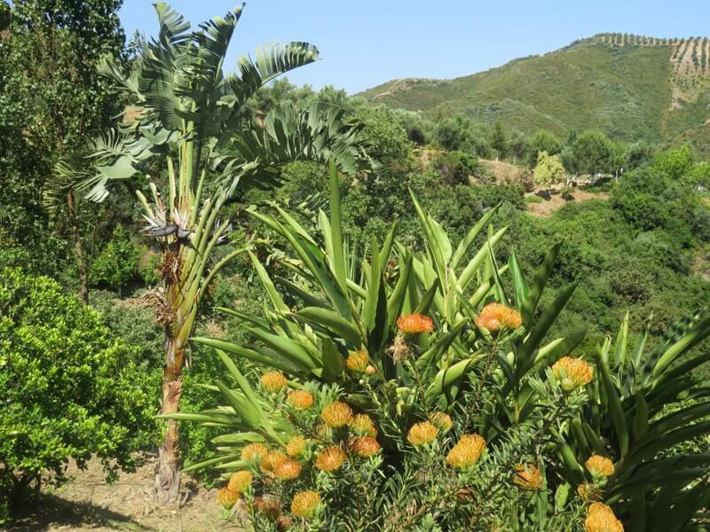 Botanical Park & Gardens of Crete at Fournes