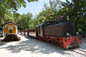 The historical Little Train of Pelion