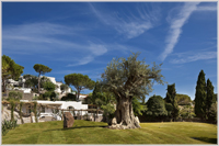 Garden and Villas Resort. Ischia