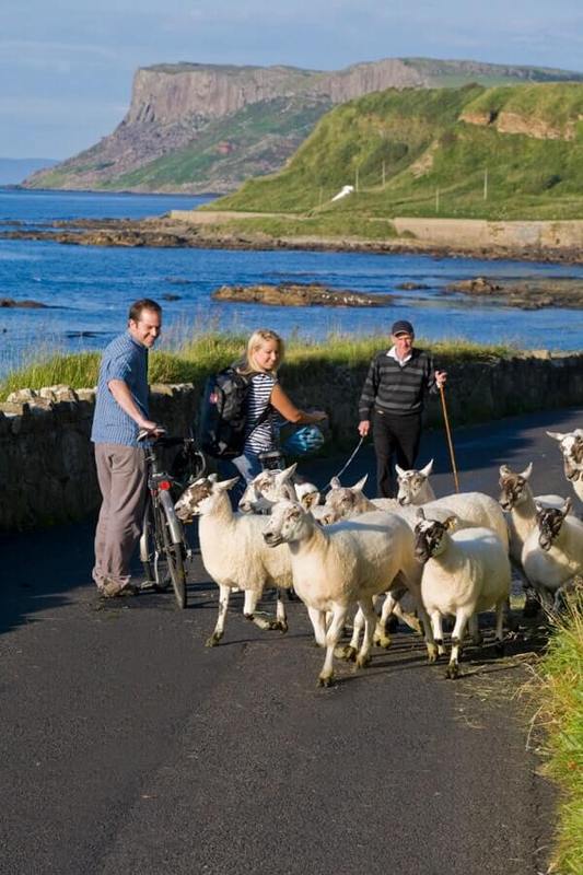 Hikers watch as dog herds sheep, Carrickmore, Ballycastle