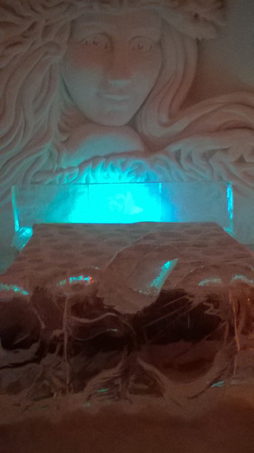 Honemoon Suite at the Snow Hotel