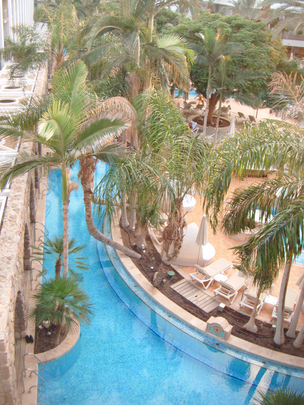 Hotel Oasis of palms and pools