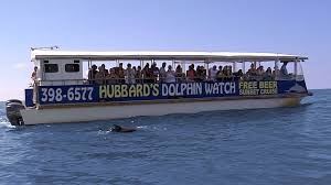 The dolphin watchers