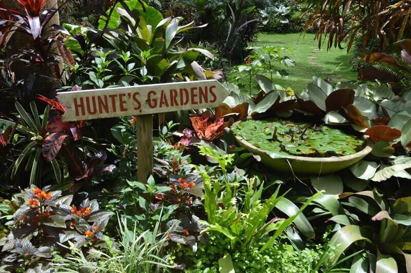 Hunte's Gardens, Barbados