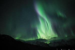 First view of the Northern Lights - photo courtesy of Hurtigruten