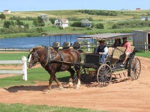 Matthew's carriage ride - Anne of Green Gables Museum