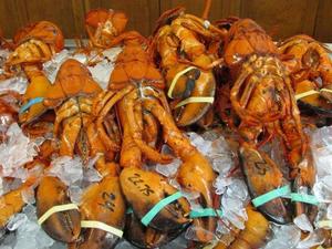 New Brusnwick lobsters
