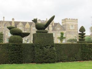 Topiary, Grimsthorpe Castle