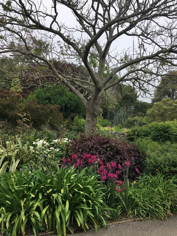 Ventnor Botanic Garden, Isle of Wight