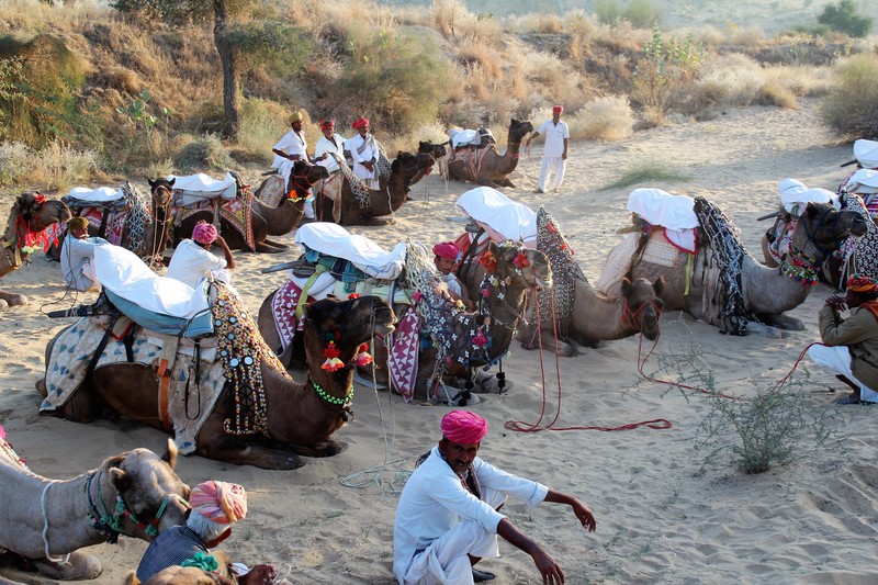 Camel trek at Manvar Desert Camp