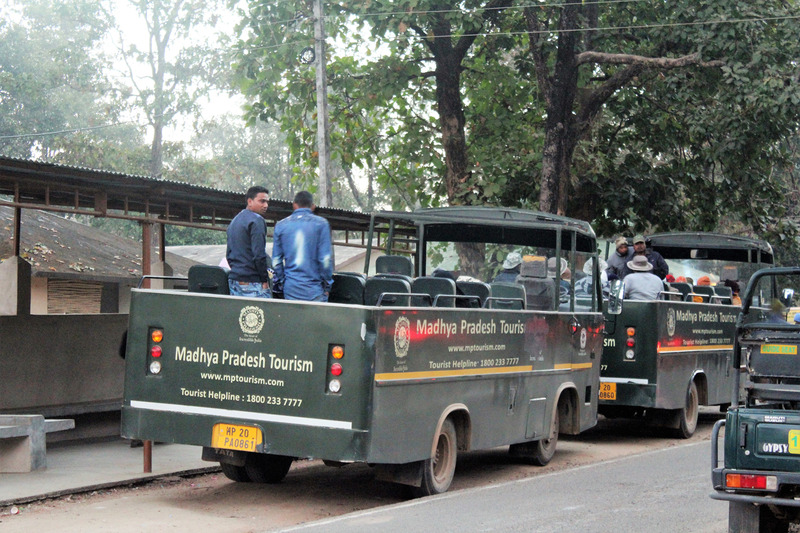 Madhya Pradesh safari buses