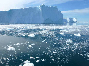 Icefjord cruise