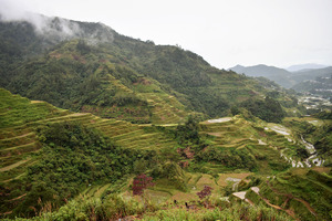 Ifugao rice terraces