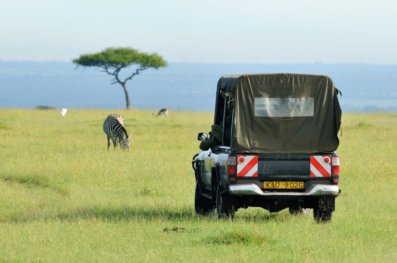 Kenya safari