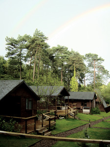 Woodland Lodges, New Forest, Hampshire