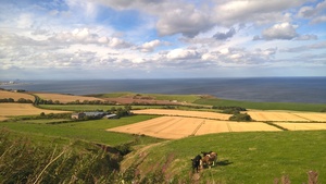 Looking towards the coast East Lothian