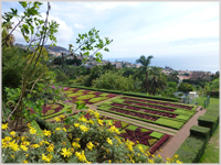 Botanical Gardens, Funchal, Madeira