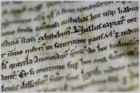 Magna Carta close-up