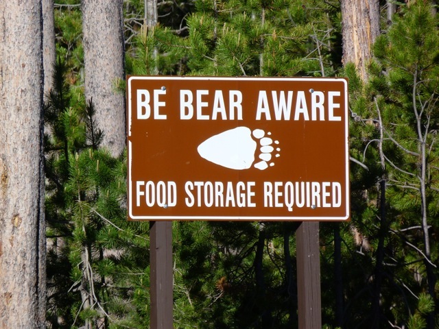 Be bear aware!