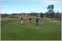 The 14th hole on the Citrus Les Oliviers golf course - who has given up waiting for the putt to drop?