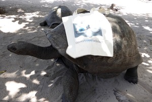 Tortoise and the Silver Travel Advisor bag