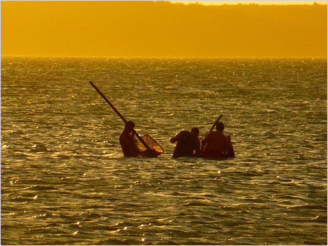 Shrimp fishing at sunset