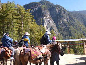 Ponies, prayer wheels and distant view