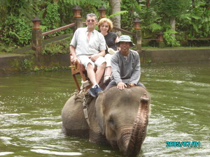 Elephant safari in beautiful Bali