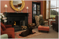 Prince Hall Country House - fireside and dog