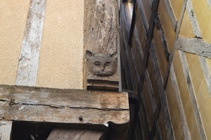 Ruelle des Chats, Troyes