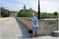 The Silver Travel bag in Salamanca