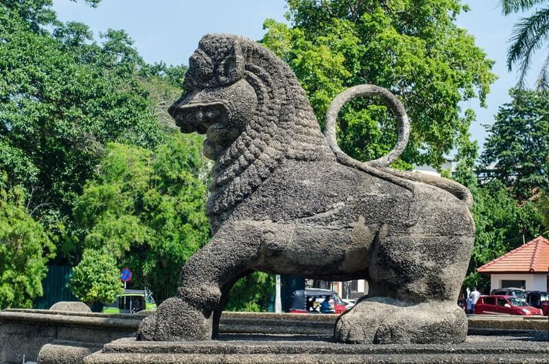 Sri Lanka Lion