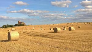 St Abbs harvesting the hay, East Lothian