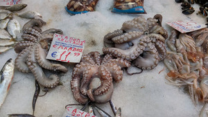 Octopus in the vibrant food markets of Thessaloniki