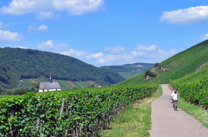 Cycling the vineyards of Moselle Valley, Germany