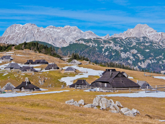 Velika Planina