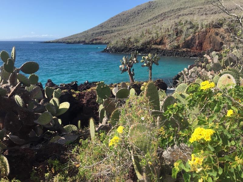 View from Rabida Island, Galapagos